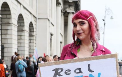 Dublin Holds First Trans Pride Parade