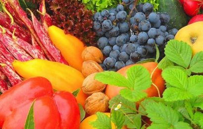 EU to Donate $3m For Healthy Eating in Irish Schools