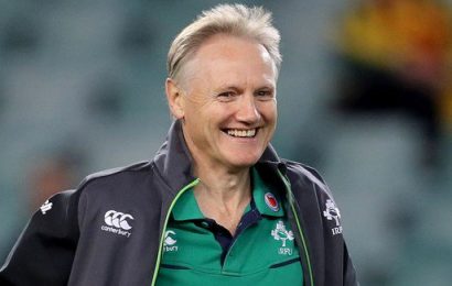 Joe Schmidt to Leave Ireland Job After World Cup