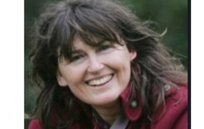 Former Irish Times Journalist Dies in Car Crash in Co Meath