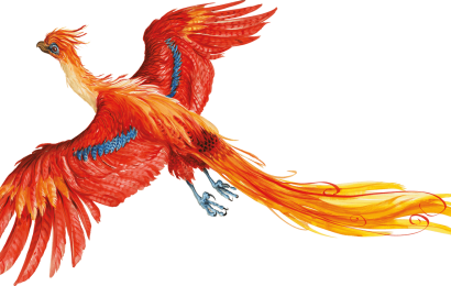 Closing This Week — “Harry Potter: A History of Magic” — Journey to Where Magic and Myth Began