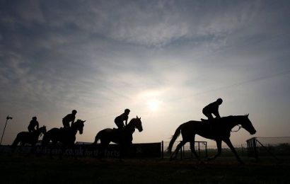 British Horse Racing Shuts Down for Six Days Due to Equine Flu Outbreak