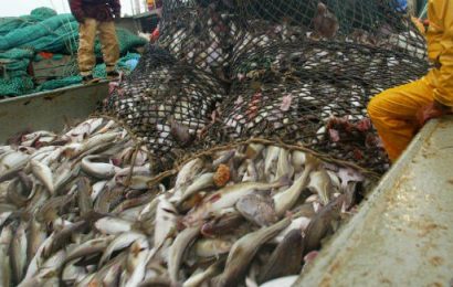 Bill That Restores North-South Fishing Deal Passes Through The Dáil