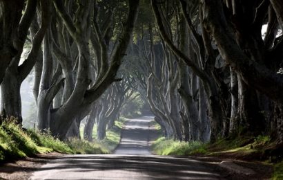 Game Of Thrones Ending Said To Be Bittersweet By Liam Cunningham