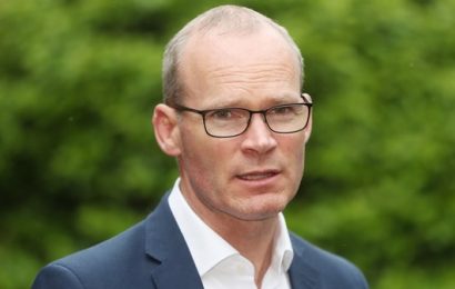 The Era of Online Self-Regulation is Over, Says Coveney