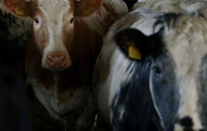 Irish Farmers Lobby Politicians Against ‘Reckless’ Mercosur Deal