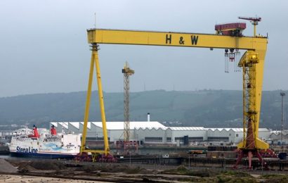Harland and Wolff Workers Urge Council to Save Shipyard