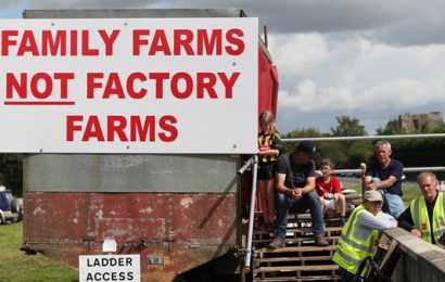 Meat Industry Ireland Pulls Out of Talks to Resolve Ongoing Protests