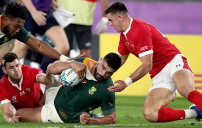 Springboks Defeat Wales to Reach World Cup Final