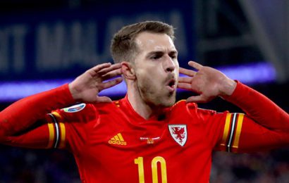 Wales Defeat Hungary to Qualify for Euro 2020