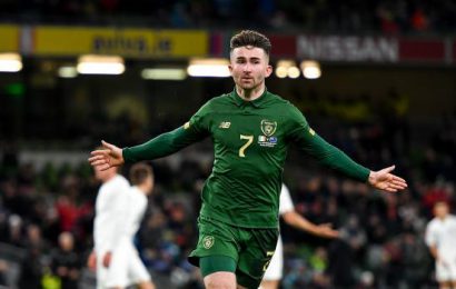 Three New Goalscorers as Ireland Defeat New Zealand Three New Goalscorers as Ireland Defeat New Zealand