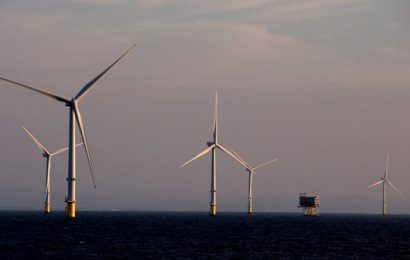 Government’s Renewable Scheme Will Meet Ireland’s Climate Commitments Says Bruton