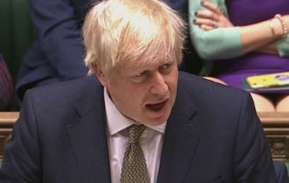 EU Prepares for ‘Harder’ Brexit After Johnson Rules Out Following Rules from Brussels