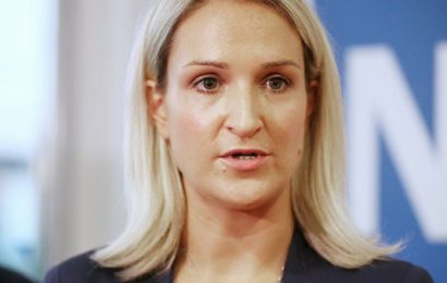 Still ‘Huge Amount of Work’ for Brexit Trade Deal Says McEntee