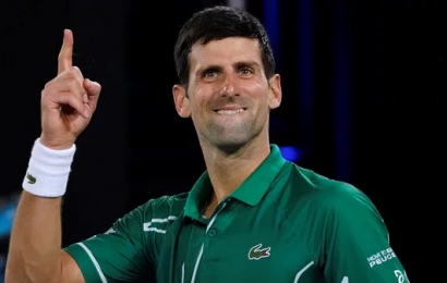 Djokovic Through to Australian Open Final After Defeating Federer