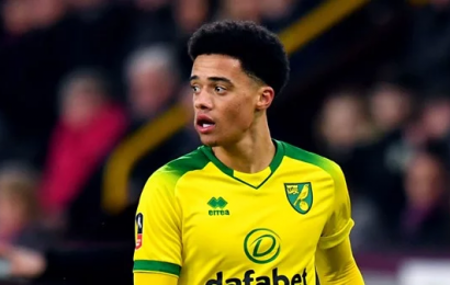 Jamal Lewis Scores to Give Canaries Surprise Win Against Foxes