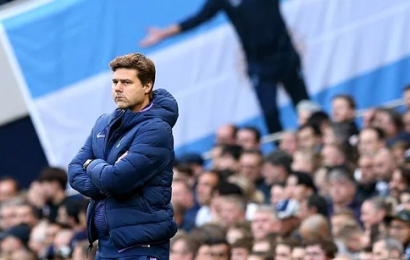 Pochettino Hoping for New Management Opportunity in Premier League