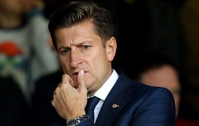 Palace’s Steve Parish Hopeful That Premier League Clubs Reach Restart Consensus Palace’s Steve Parish Hopeful That Premier League Clubs Reach Restart Consensus