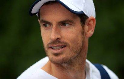 Andy Murray Granted French Open Wild Card
