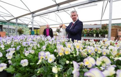 Poots Calls For Action On Removing Barriers To Plant And Soil Imports Into The North