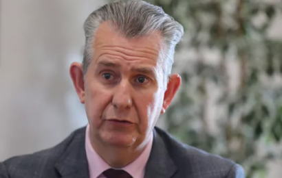 DUP’s Support Collapses In New Poll As Sinn Féin’s Lead Grows To 9%