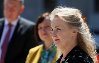 Seanad Hears That Constitutional Right To Housing Is ‘The Right Thing To Do’