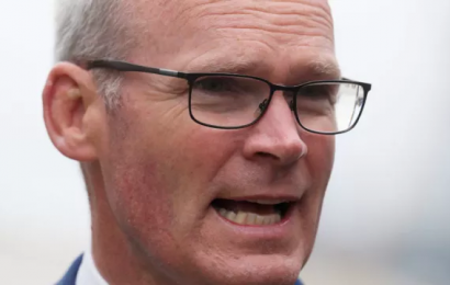 Coveney: EU TO Propose Removal Of Most Post-Brexit Checks On Food