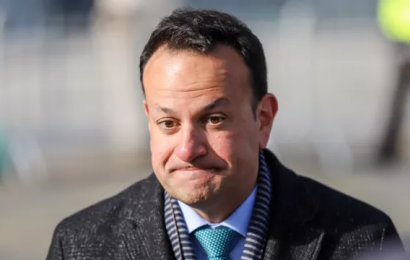 Fine Gael Support Falls To 19% In Latest Polling