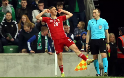 Hungary Take Advantage Of Mistake By Northern Ireland’s McGinn