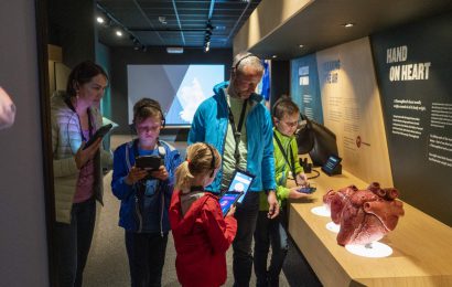 The Treasures Of The Irish National Stud And The National Gallery Of Ireland