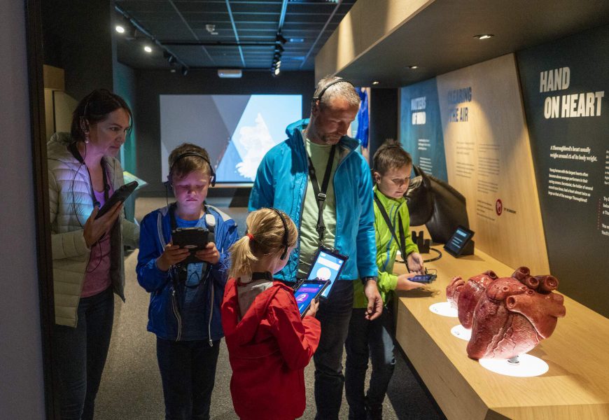 The Treasures Of The Irish National Stud And The National Gallery Of Ireland