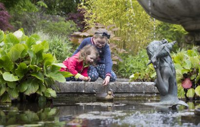 Discover Beauty Amid The Hidden Heartlands Of Offaly And Westmeath