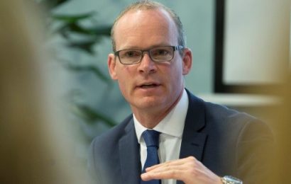 Coveney Now Supports Abortion at 12 Weeks
