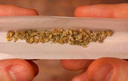 Green Party Calls For Legalization of Marijauna