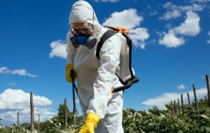Some Insecticides are Banned by EU