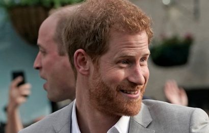 Prince Harry Becomes First Baron Kilkeel