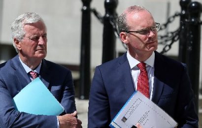 Coveney and Barnier Show Willingness to Negotiate on Brexit Backstop