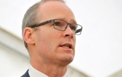 Coveney: Government Committed to Helping Diaspora