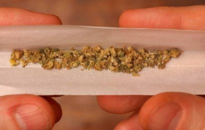 Almost Three in Four Irish People Agree With Medicinal Cannabis Use