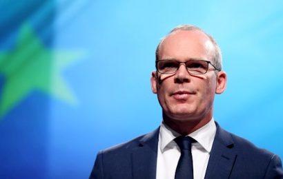 Fine Gael Are ‘Election-Ready’ Says Tánaiste