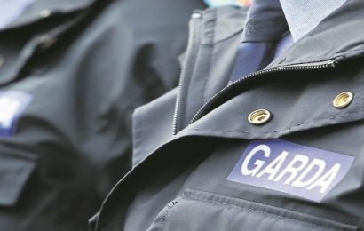 Ireland’s Policing Levels Among Lowest in Europe