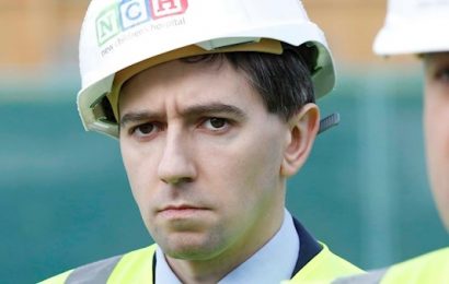 Dáil To Debate Motion of No Confidence in Health Minister