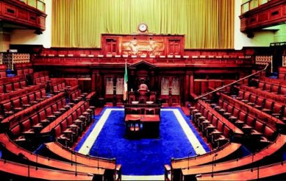 Dáil Passes Legislation To Help Soften No-Deal Brexit