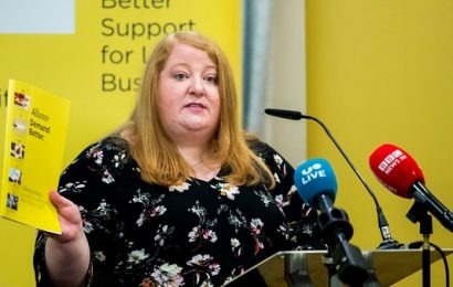 Alliance Party Leader Calls for Second Referendum on Brexit