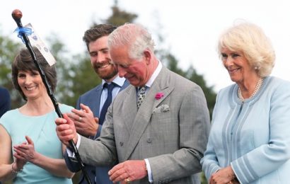 Prince Charles Praises Anglo-Irish Links as He Begins Visit to Wicklow