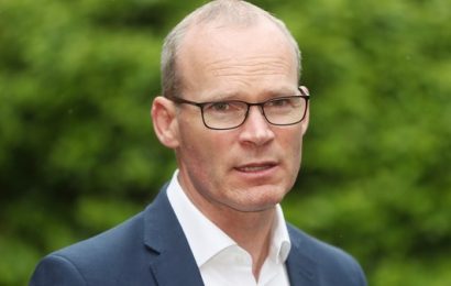 Ireland To Give €5m To Help Palestinian Refugees