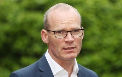 No Changes to Brexit Deal No Matter Who Replaces May – Coveney
