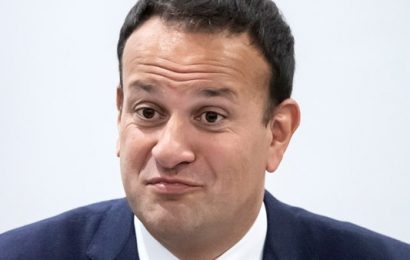 Varadkar Laments ‘Unfortunate’ Absence of Northern Ireland at British Irish Council