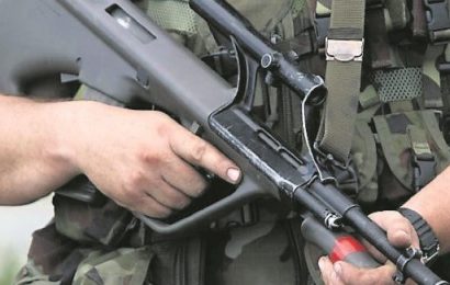 Government Considers Deploying Army Rangers to Mali