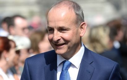 Ireland Not Ready for No Deal Brexit, Says Martin